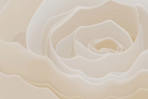 Close-up of a delicate cream-colored rose