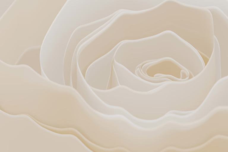 Close-up of a delicate cream-colored rose